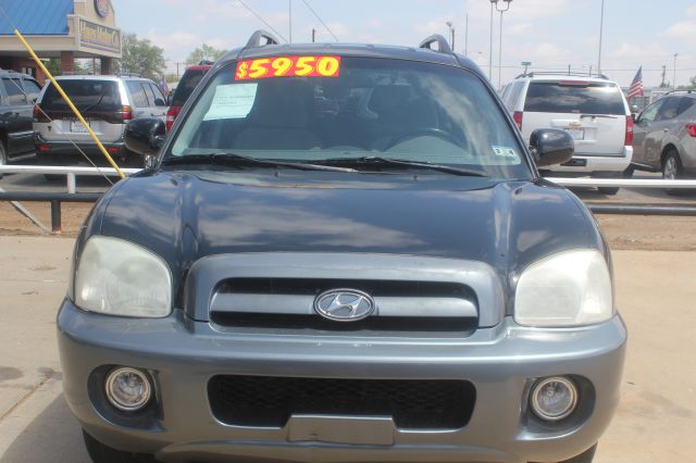 Hyundai Santa Fe 2005 photo 14