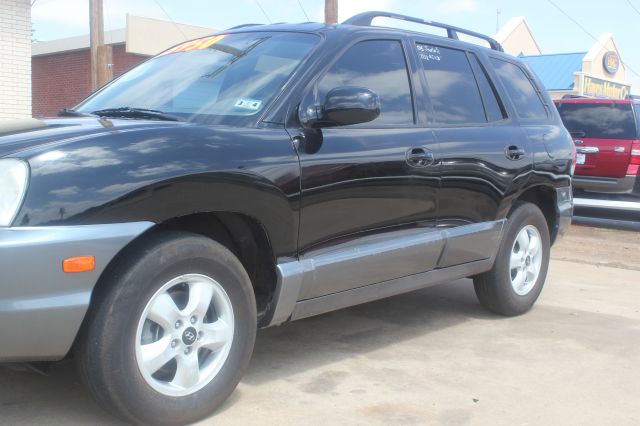 Hyundai Santa Fe 2005 photo 3