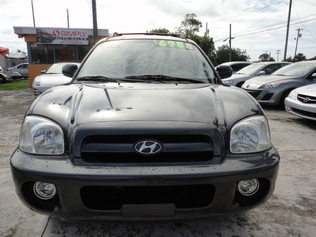 Hyundai Santa Fe 2005 photo 6