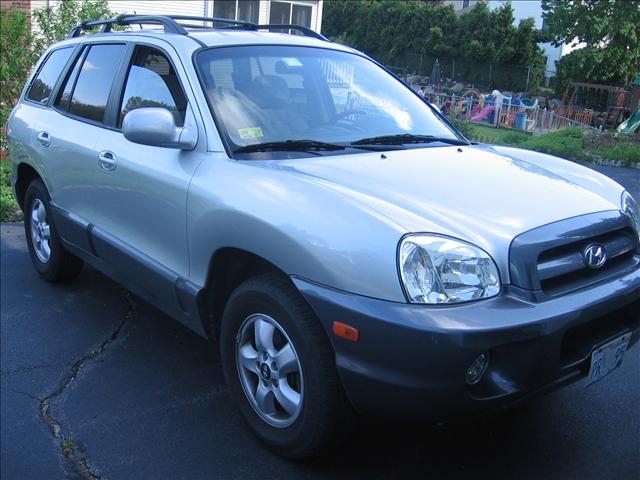 Hyundai Santa Fe 2006 photo 1