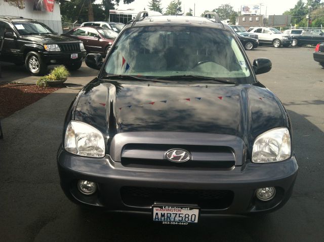 Hyundai Santa Fe 2006 photo 4