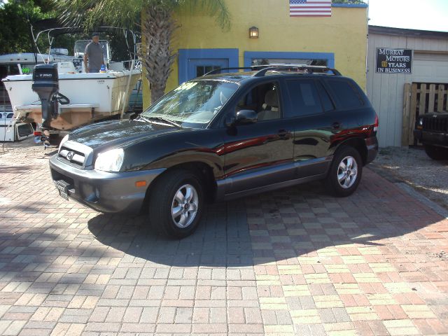 Hyundai Santa Fe 2006 photo 2