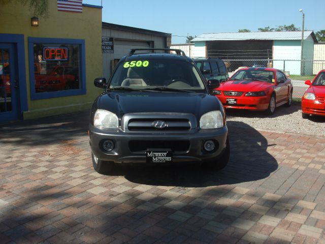 Hyundai Santa Fe 2006 photo 3