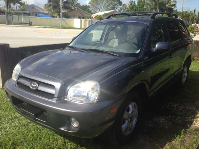 Hyundai Santa Fe 2006 photo 6