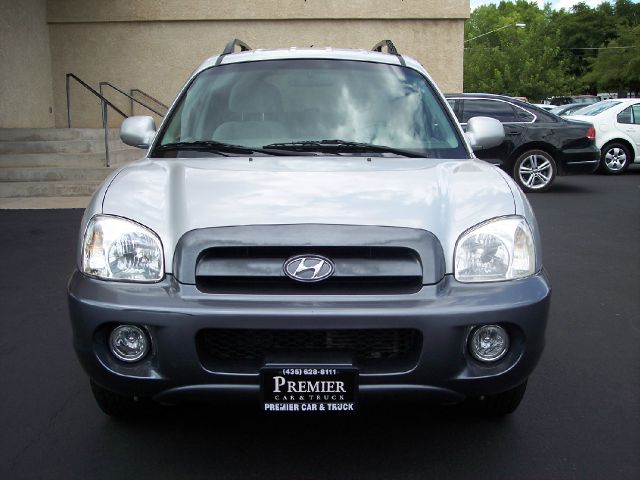 Hyundai Santa Fe 2006 photo 1