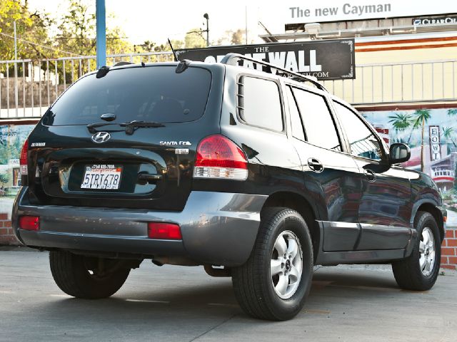 Hyundai Santa Fe 2006 photo 1