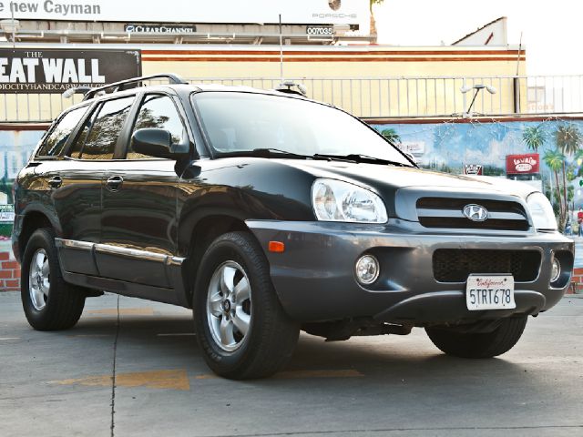 Hyundai Santa Fe 2006 photo 17