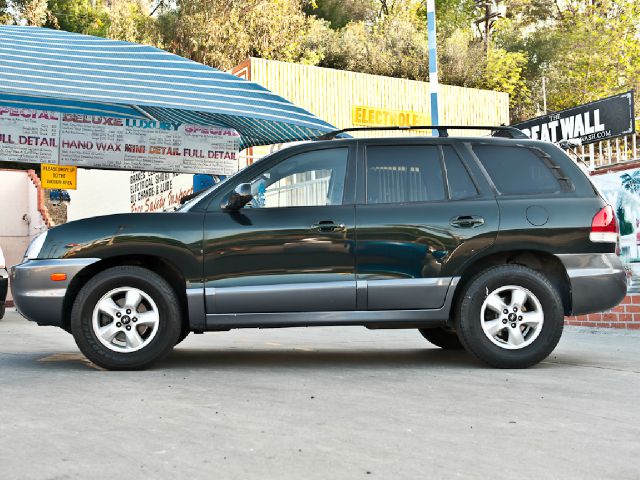 Hyundai Santa Fe 2006 photo 18