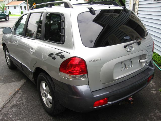 Hyundai Santa Fe 2006 photo 2