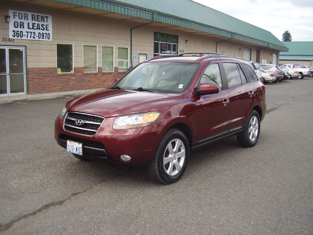 Hyundai Santa Fe 2007 photo 2