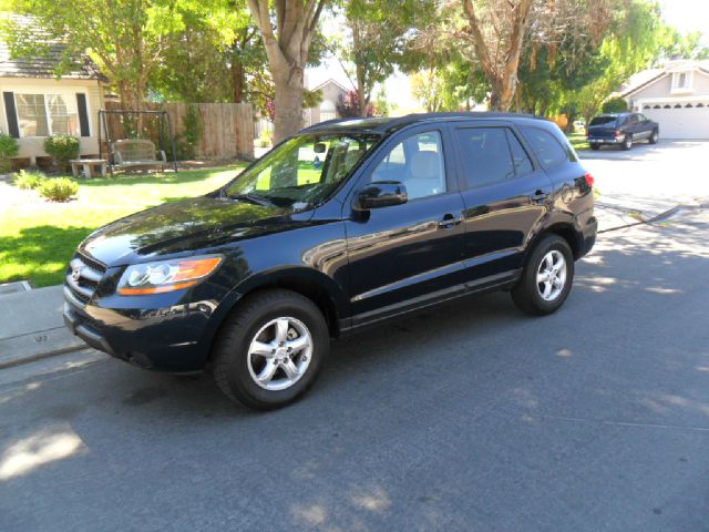 Hyundai Santa Fe 2008 photo 1