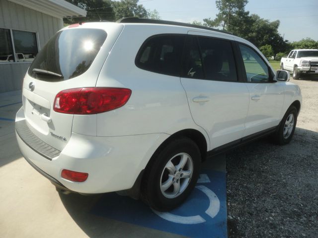 Hyundai Santa Fe 2008 photo 4