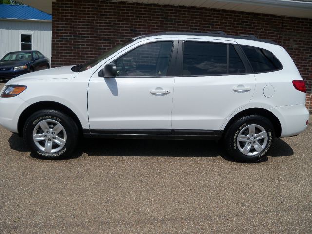 Hyundai Santa Fe 2009 photo 9