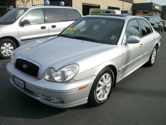 Hyundai Sonata Elk Conversion Van Sedan