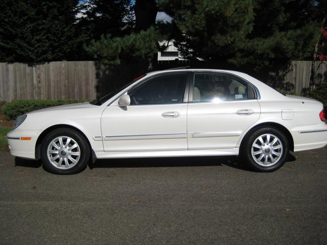 Hyundai Sonata 2002 photo 1