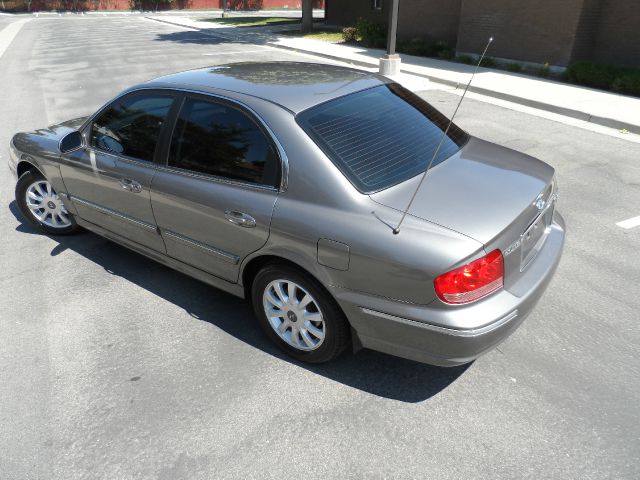 Hyundai Sonata Elk Conversion Van Sedan