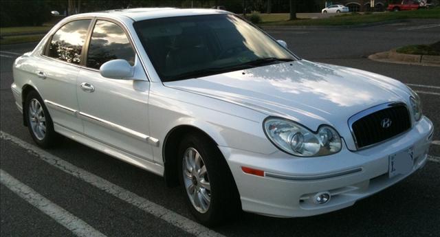 Hyundai Sonata Elk Conversion Van Sedan