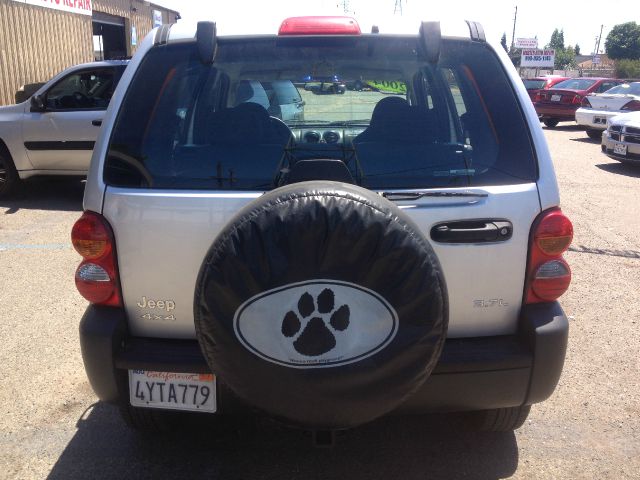 Jeep Liberty Elk Conversion Van SUV