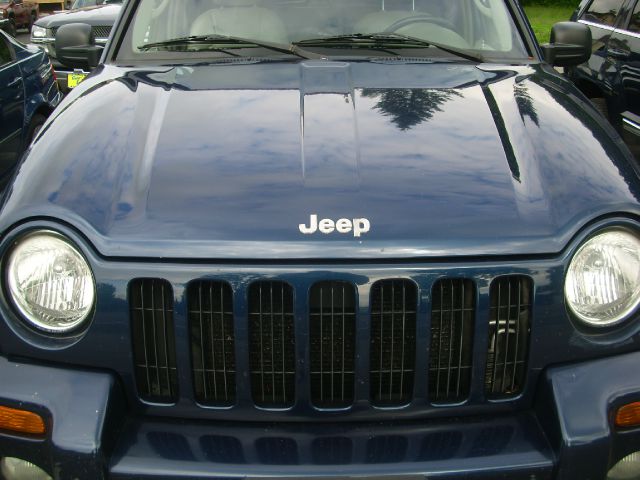 Jeep Liberty 2002 photo 3