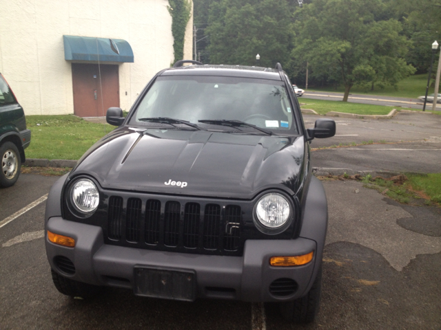 Jeep Liberty Elk Conversion Van SUV