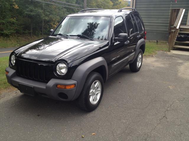 Jeep Liberty 2003 photo 3