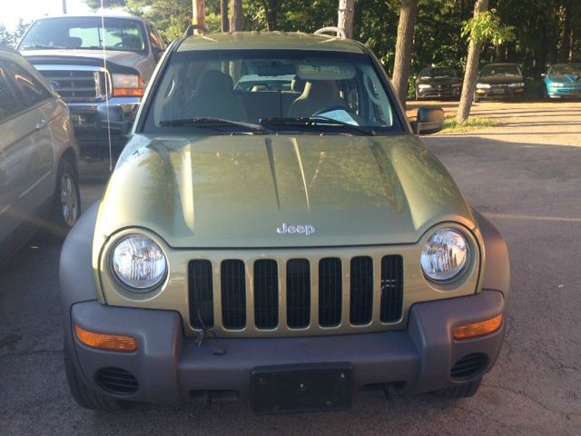 Jeep Liberty Elk Conversion Van SUV