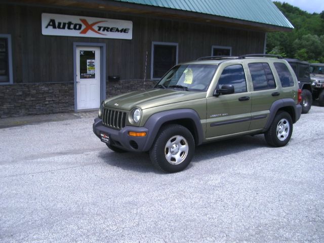 Jeep Liberty Elk Conversion Van SUV