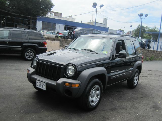 Jeep Liberty Elk Conversion Van SUV