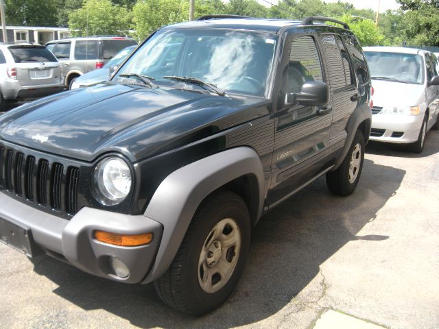 Jeep Liberty Elk Conversion Van SUV