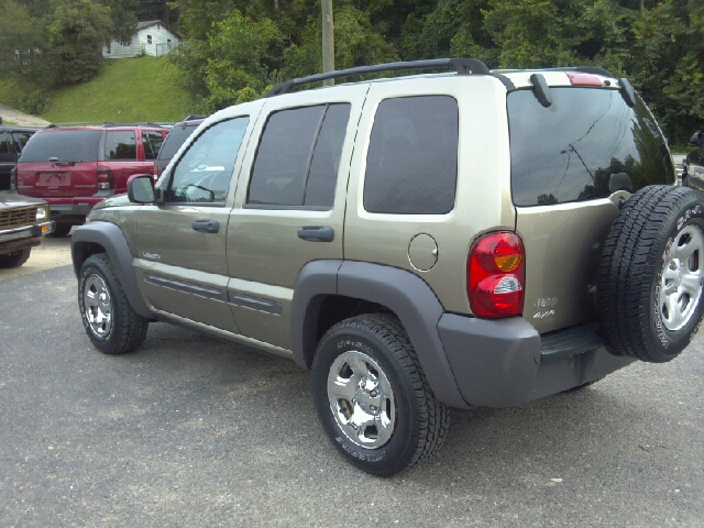 Jeep Liberty Elk Conversion Van SUV