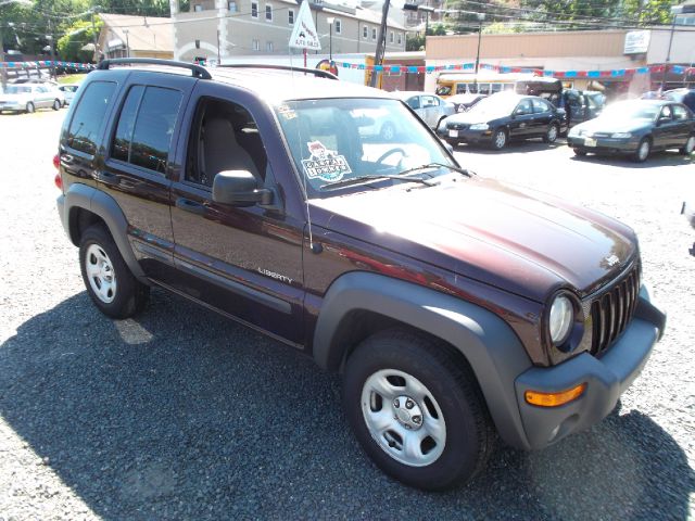 Jeep Liberty 2004 photo 2