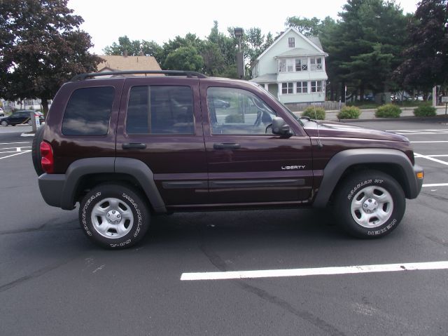 Jeep Liberty 2004 photo 3