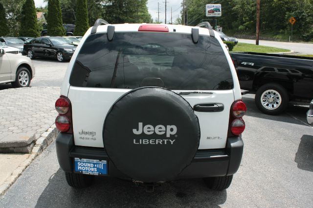 Jeep Liberty Elk Conversion Van SUV