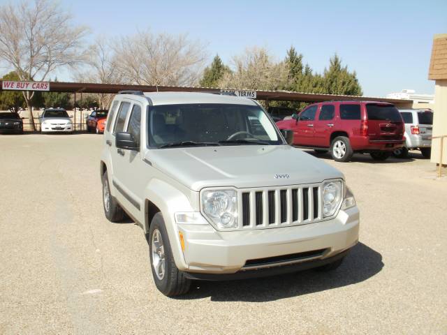 Jeep Liberty 2008 photo 3