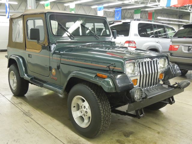 Jeep Wrangler 1993 photo 17