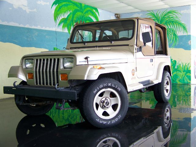 Jeep Wrangler 1994 photo 11