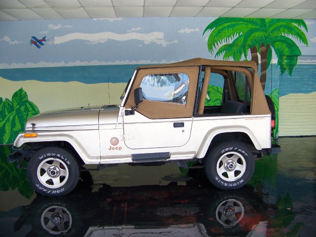 Jeep Wrangler 1994 photo 13