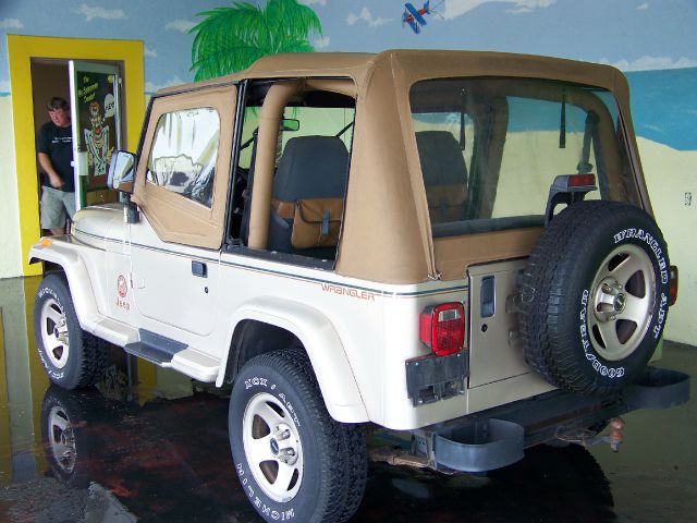 Jeep Wrangler 1994 photo 17