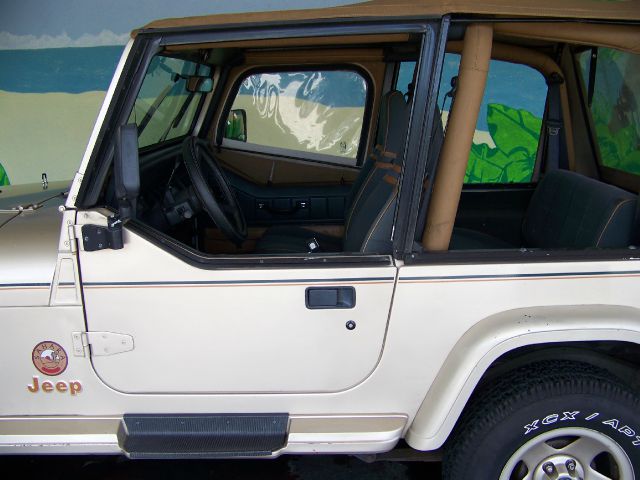 Jeep Wrangler 1994 photo 5