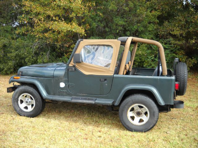 Jeep Wrangler 1994 photo 1