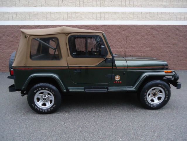 Jeep Wrangler 1995 photo 2