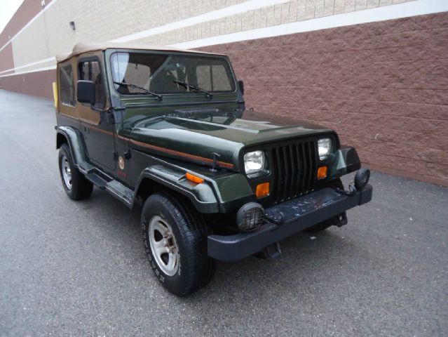 Jeep Wrangler 1995 photo 3