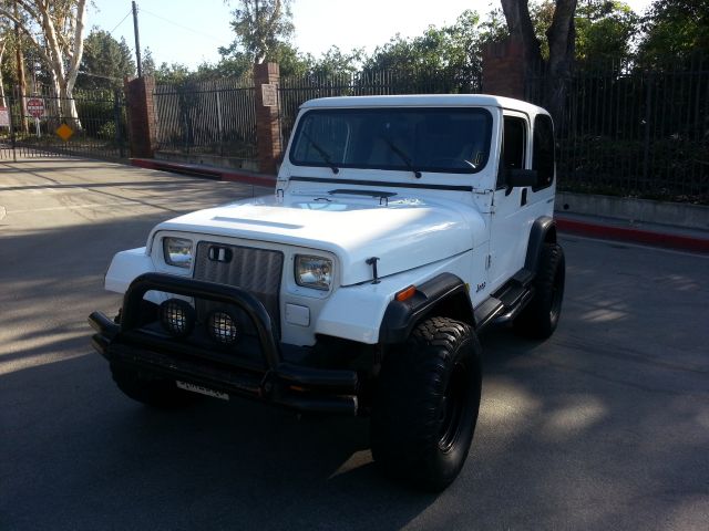 Jeep Wrangler 1995 photo 19