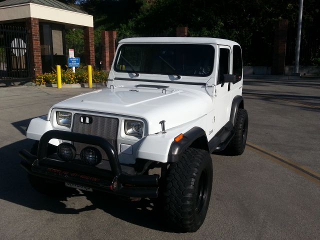 Jeep Wrangler 1995 photo 2