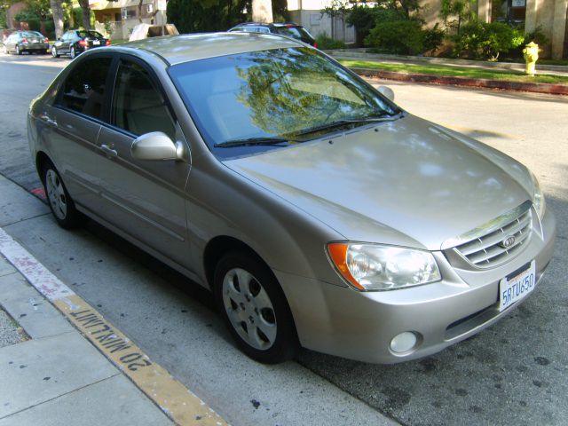 Kia Spectra Elk Conversion Van Sedan