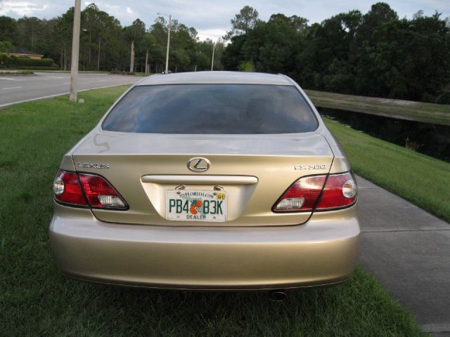 Lexus ES 300 2002 photo 19