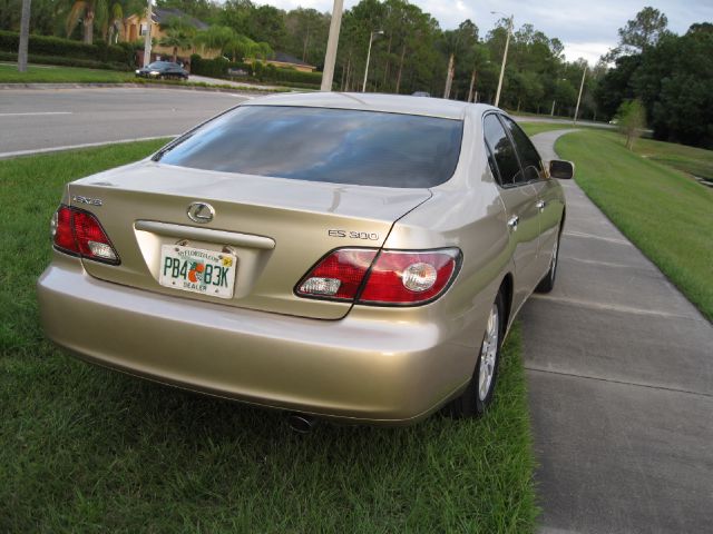 Lexus ES 300 2002 photo 4