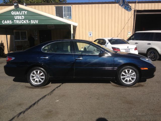 Lexus ES 300 2002 photo 3