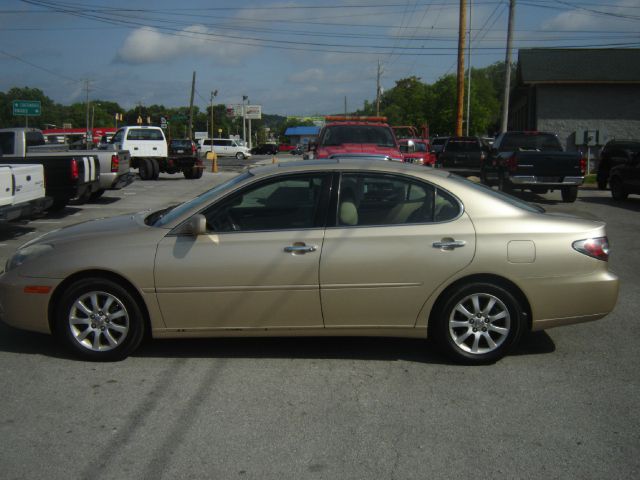 Lexus ES 300 2002 photo 6