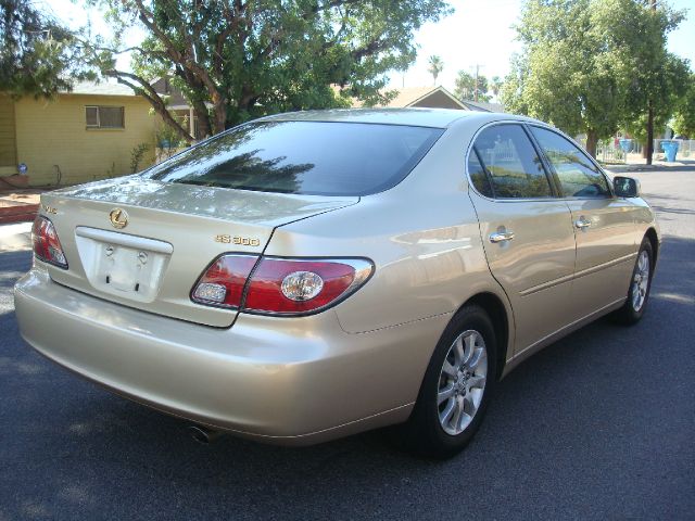 Lexus ES 300 2002 photo 13